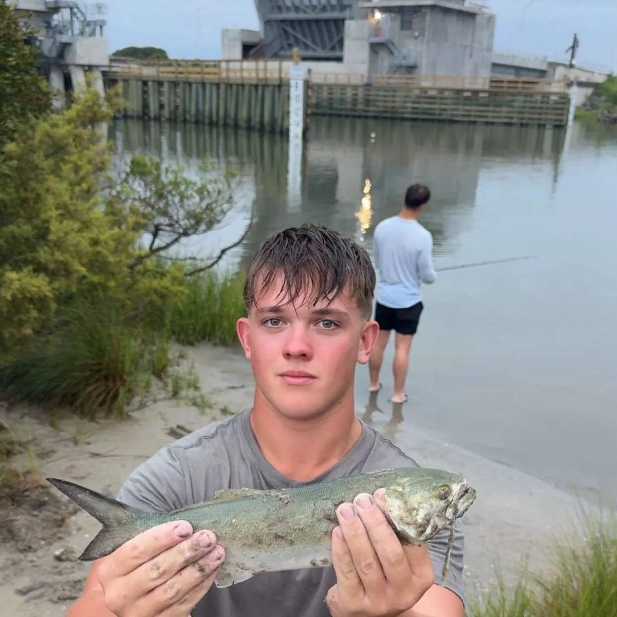 Bluefish caught on Fishbrain