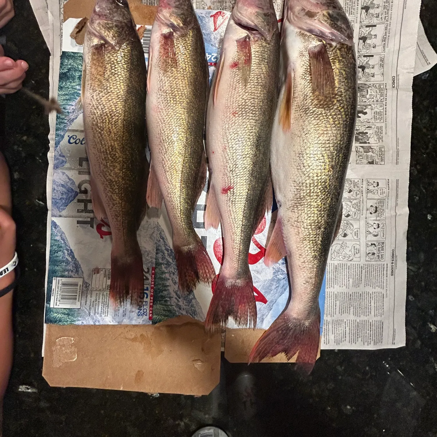 Walleye caught on Fishbrain