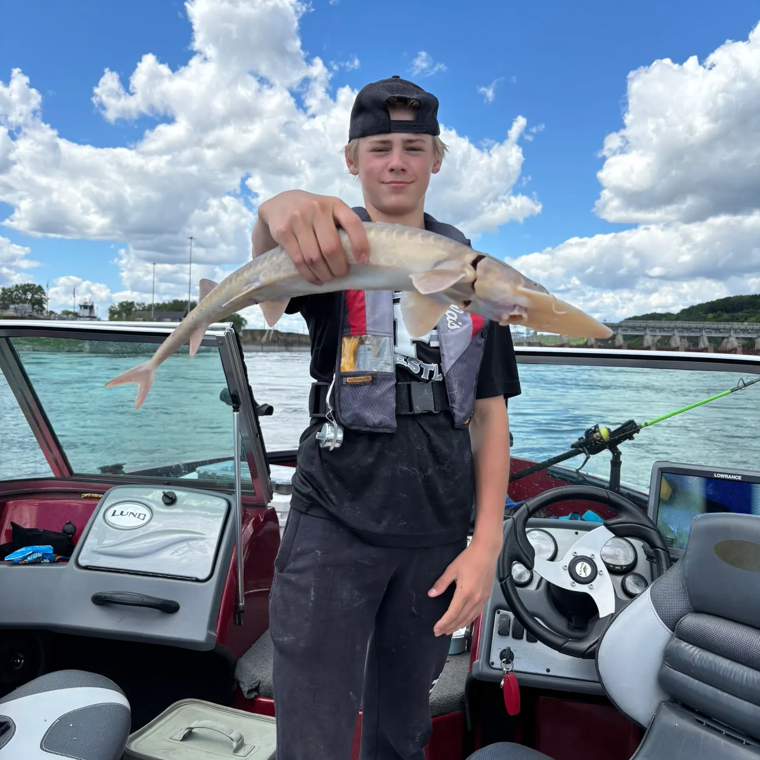 The most recent Shovelnose sturgeon catches on Fishbrain