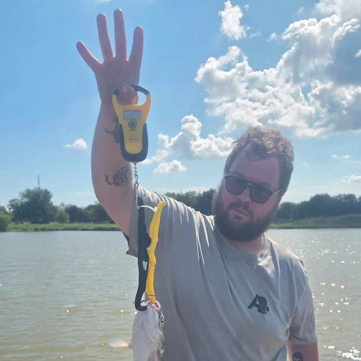 Channel catfish caught on Fishbrain