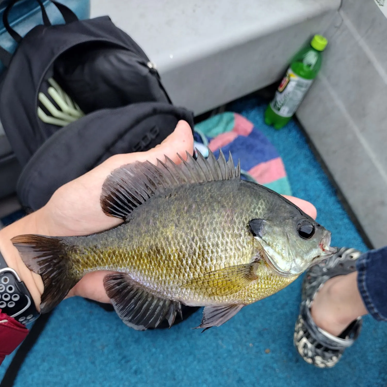 catch