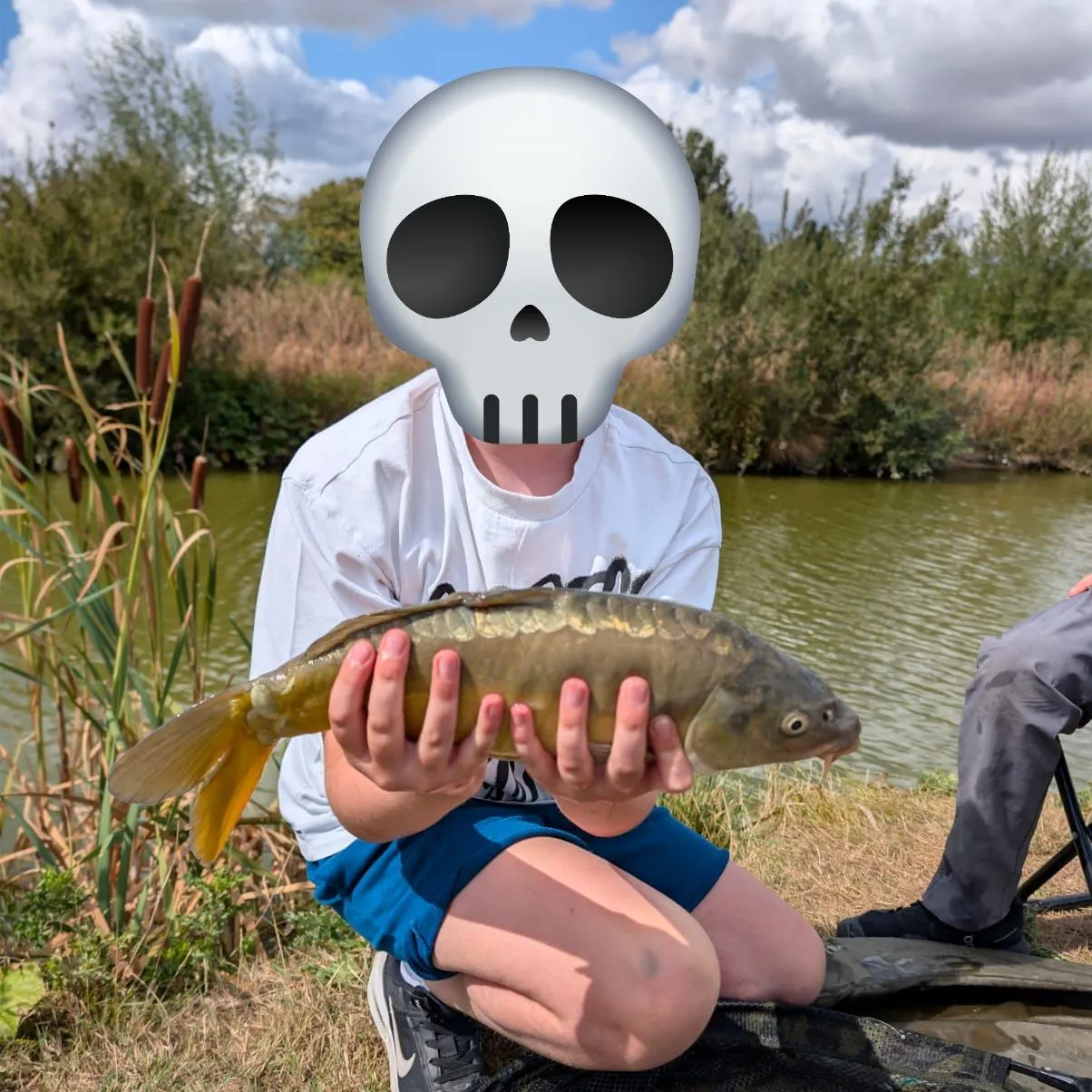 Mirror carp caught on Fishbrain