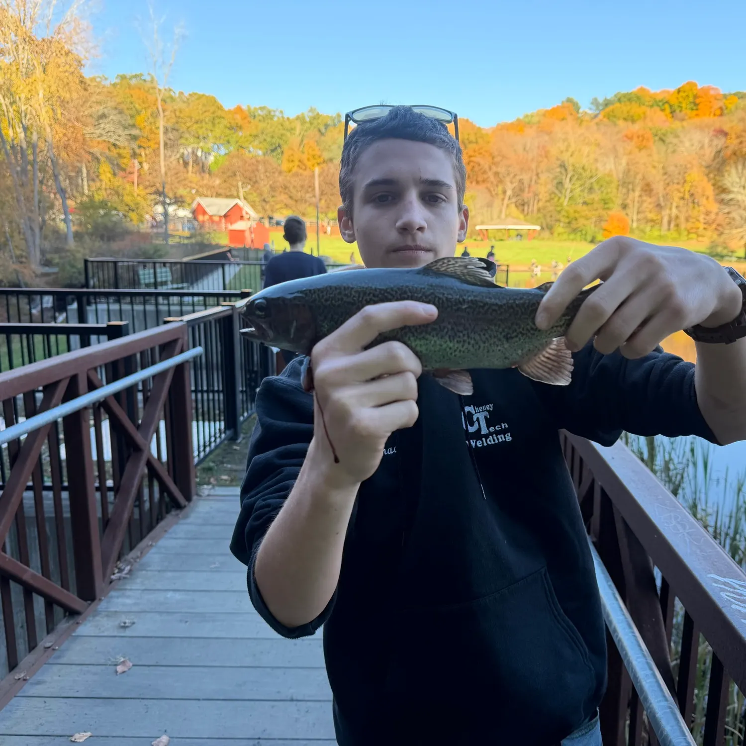 Rainbow trout caught on Fishbrain