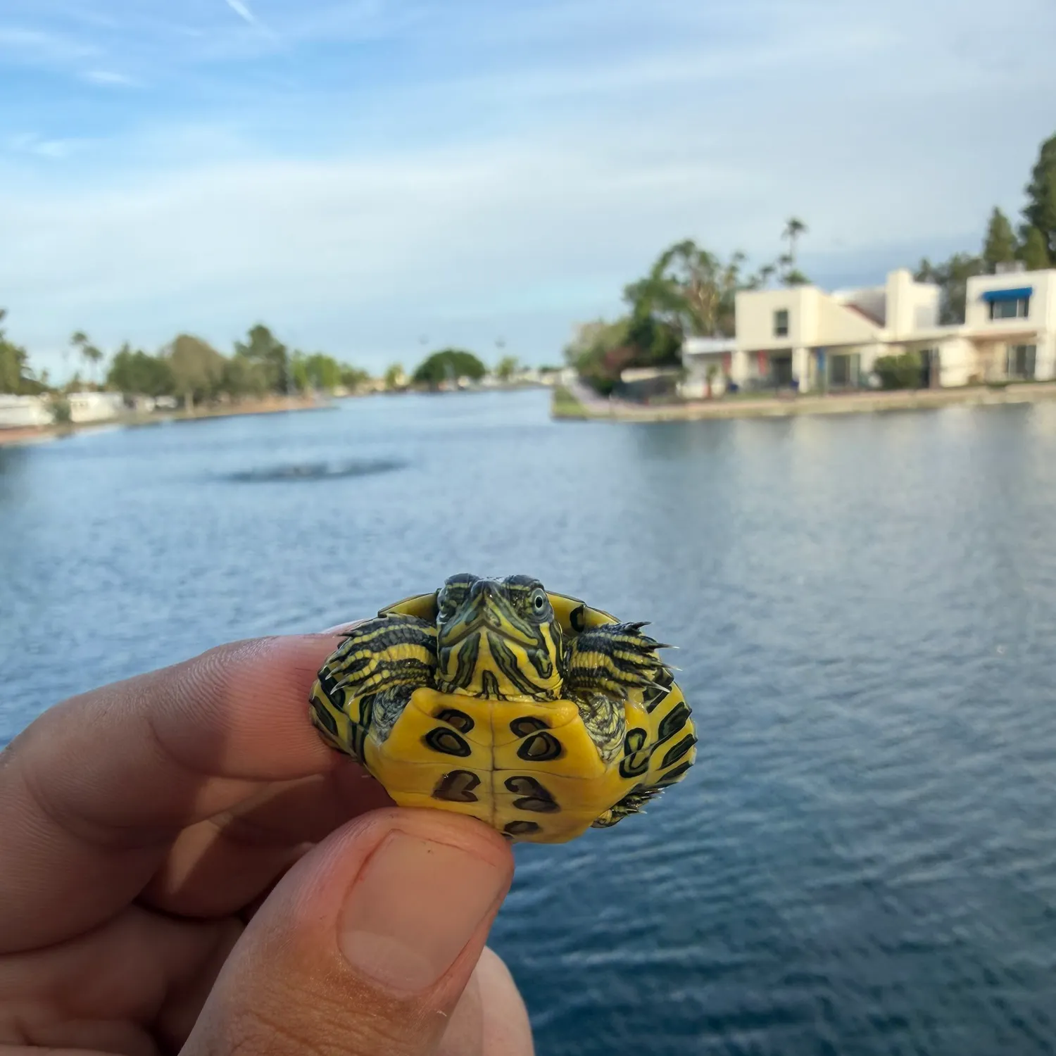 Fish caught on Fishbrain