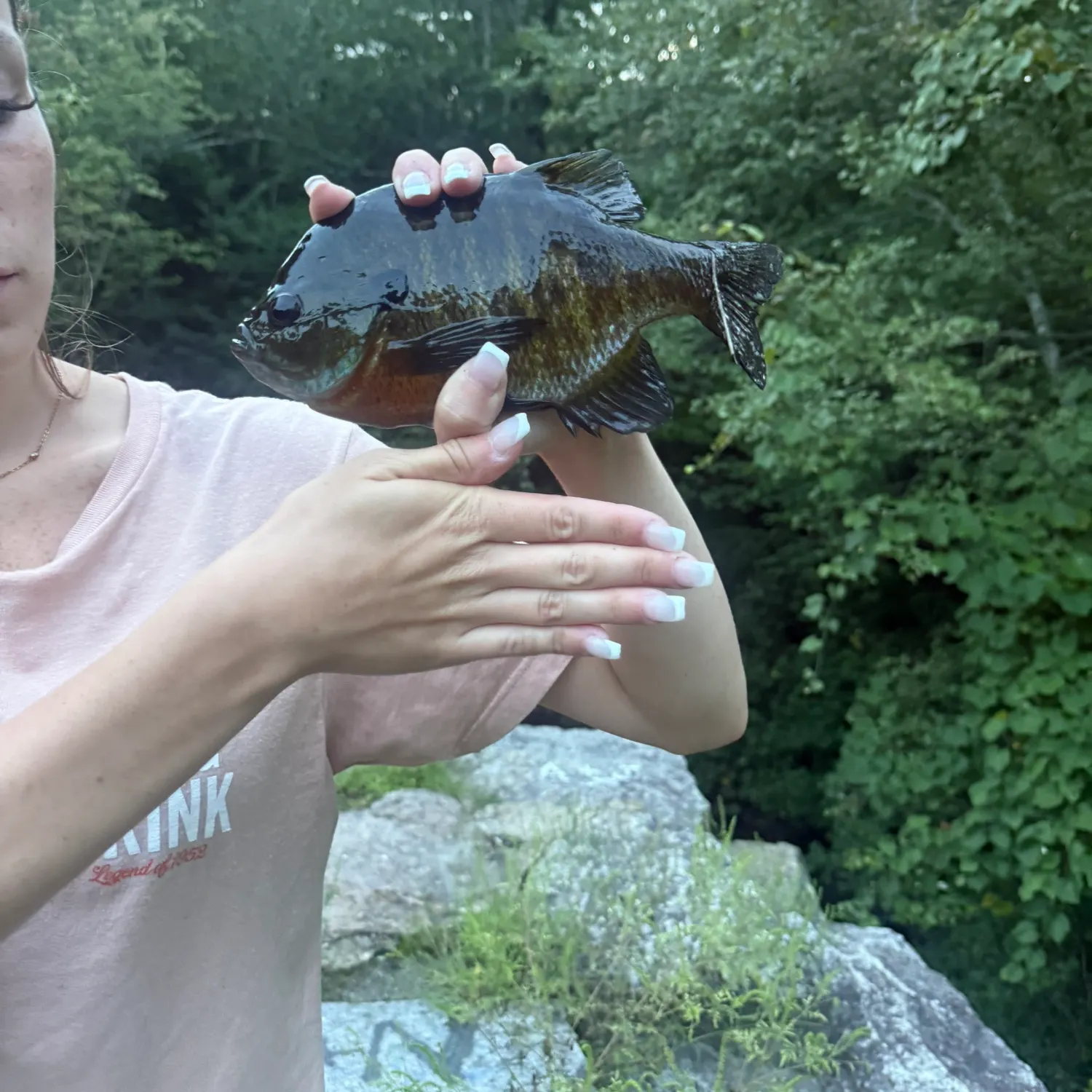 Bluegill caught on Fishbrain