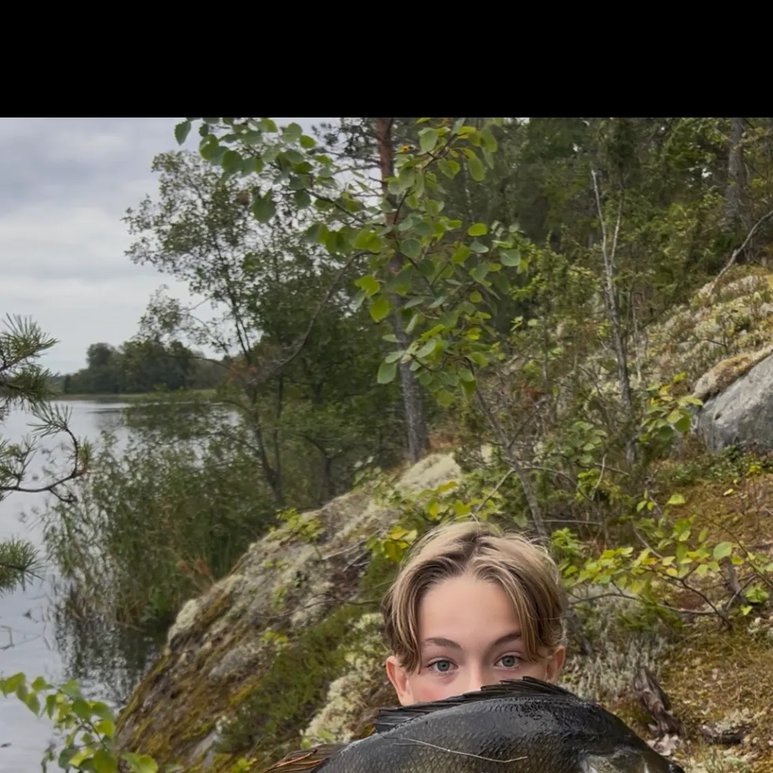 European perch caught on Fishbrain