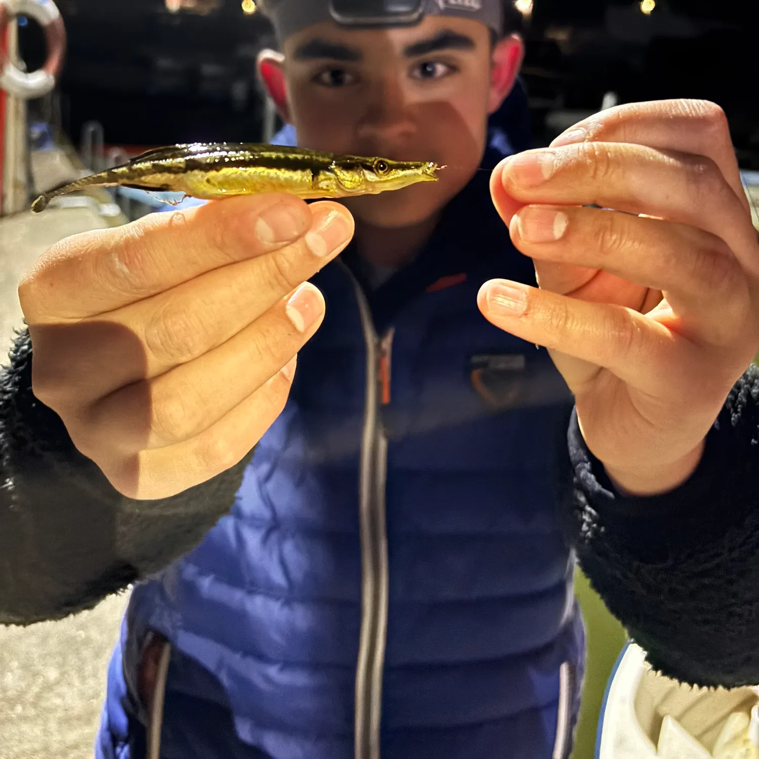 The most recent Sea stickleback catches on Fishbrain