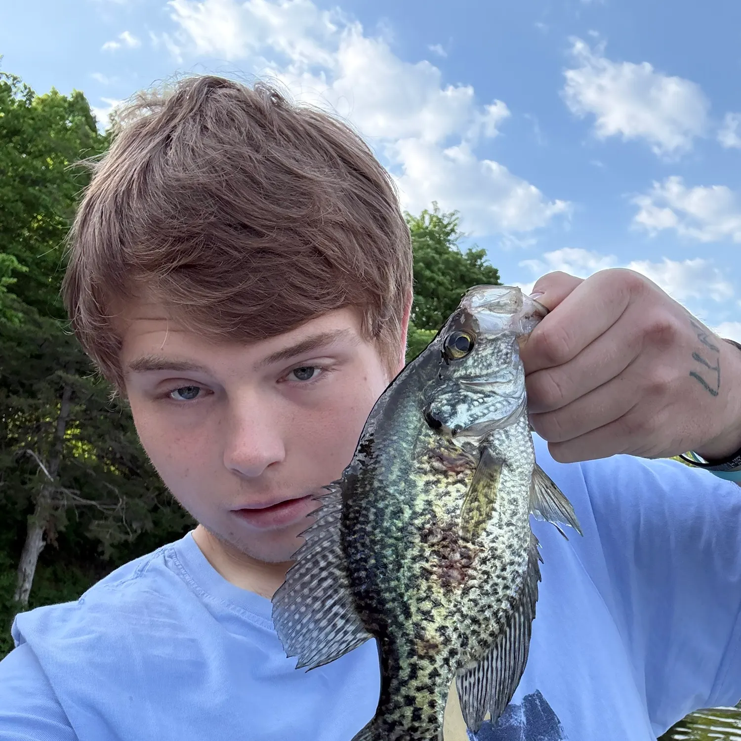 The most recent Black crappie catches on Fishbrain