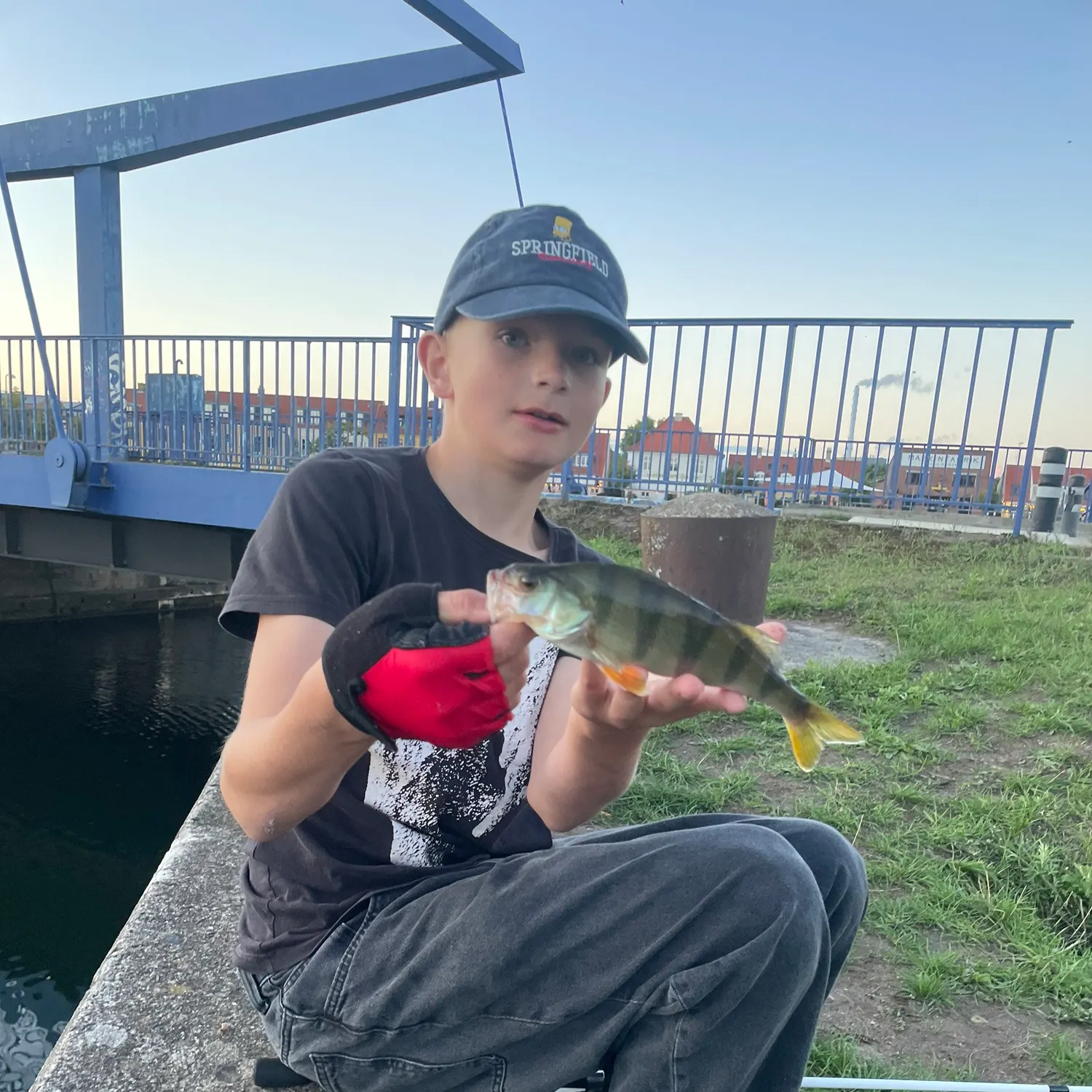 European perch caught on Fishbrain