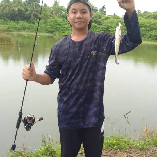 The most popular recent Small snakehead catch on Fishbrain