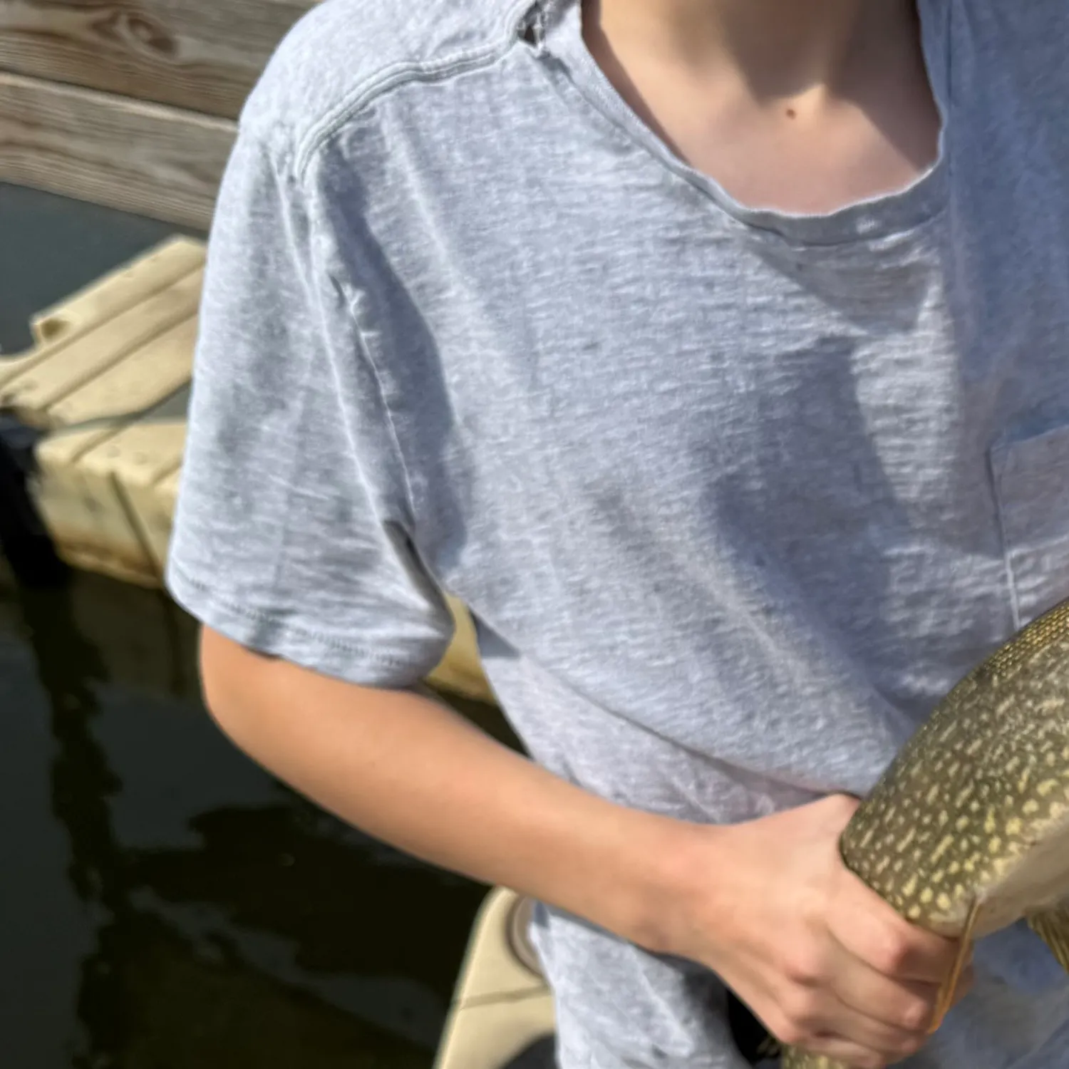 Northern pike caught on Fishbrain