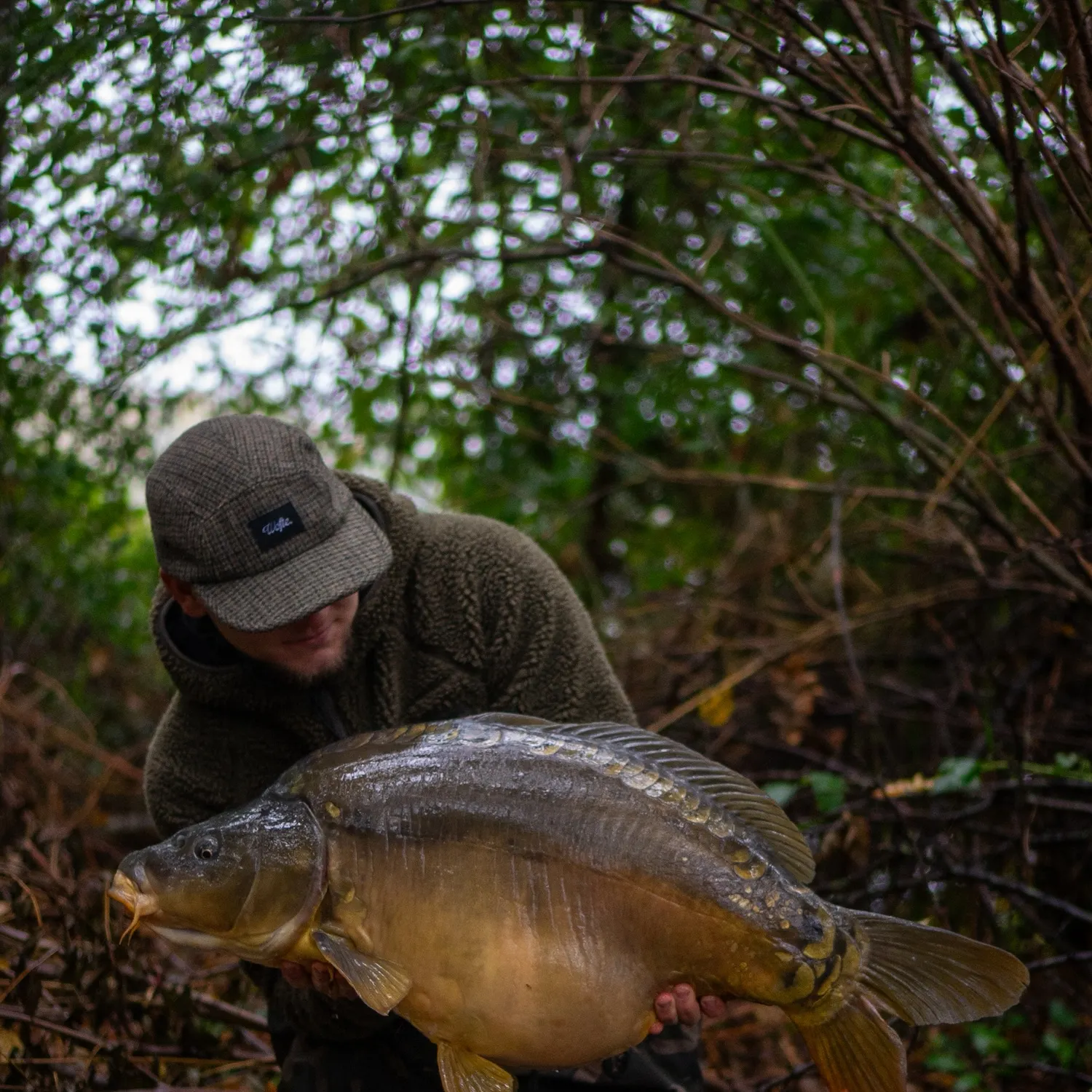 The most recent Leather carp catches on Fishbrain