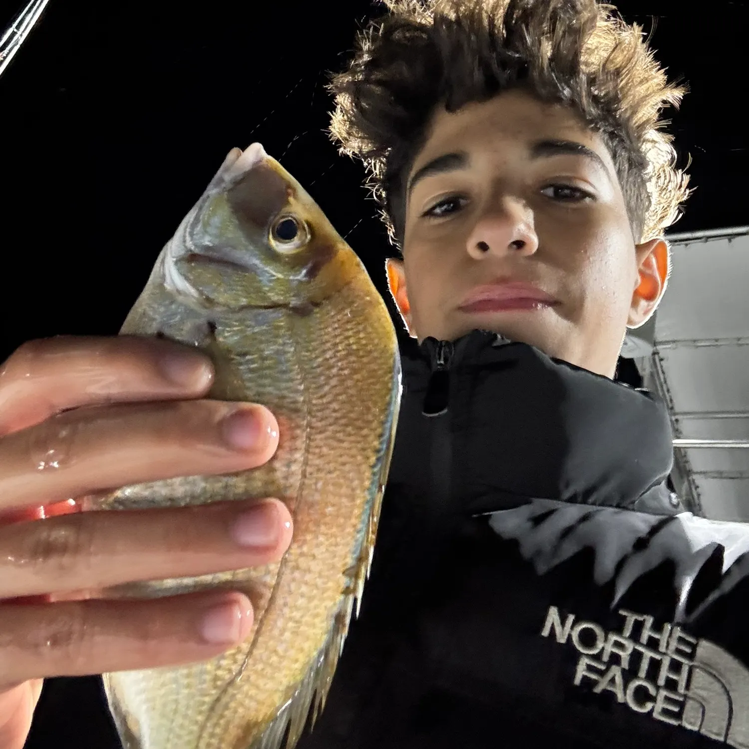 The most recent Longspine porgy catches on Fishbrain