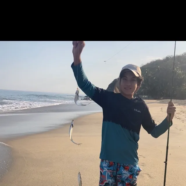Round sardinella caught on Fishbrain