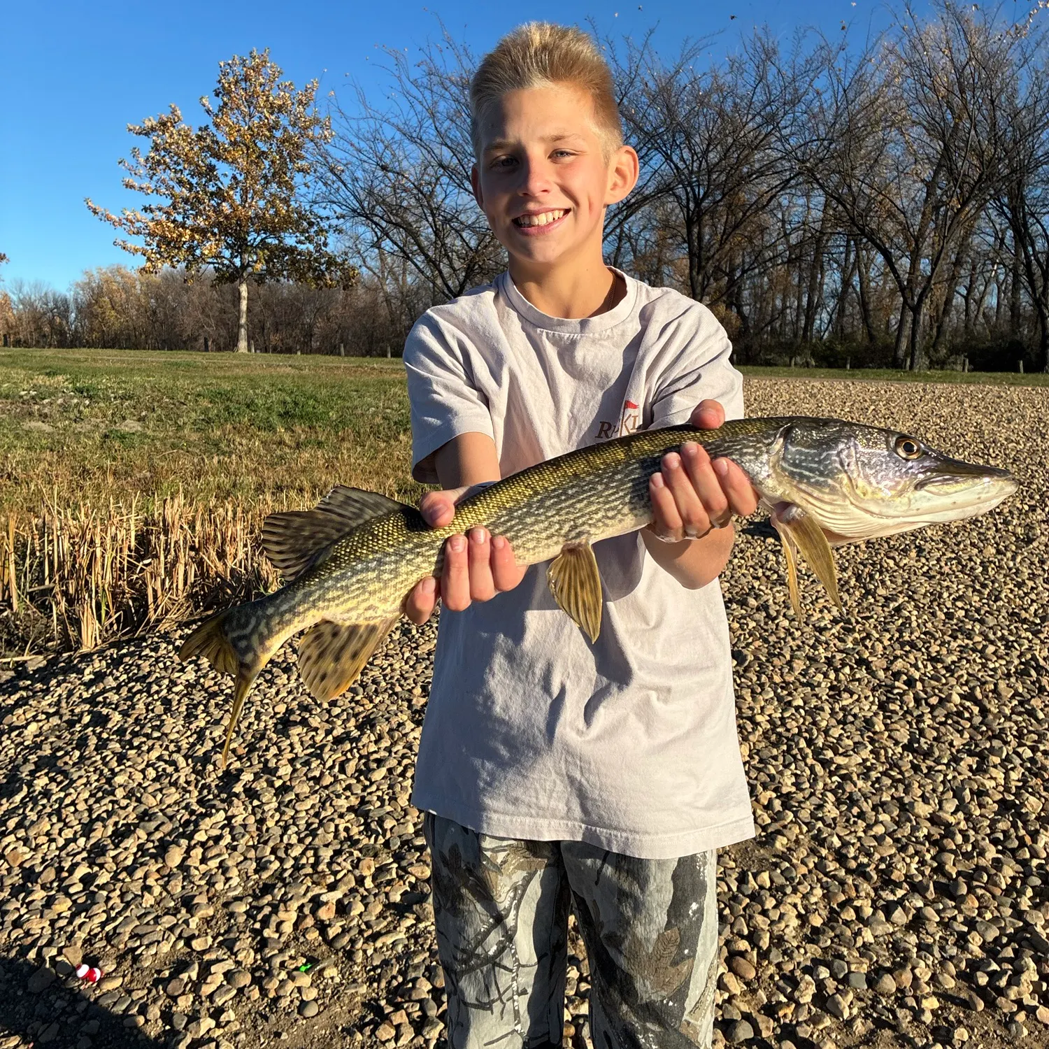 The most recent Northern pike catches on Fishbrain