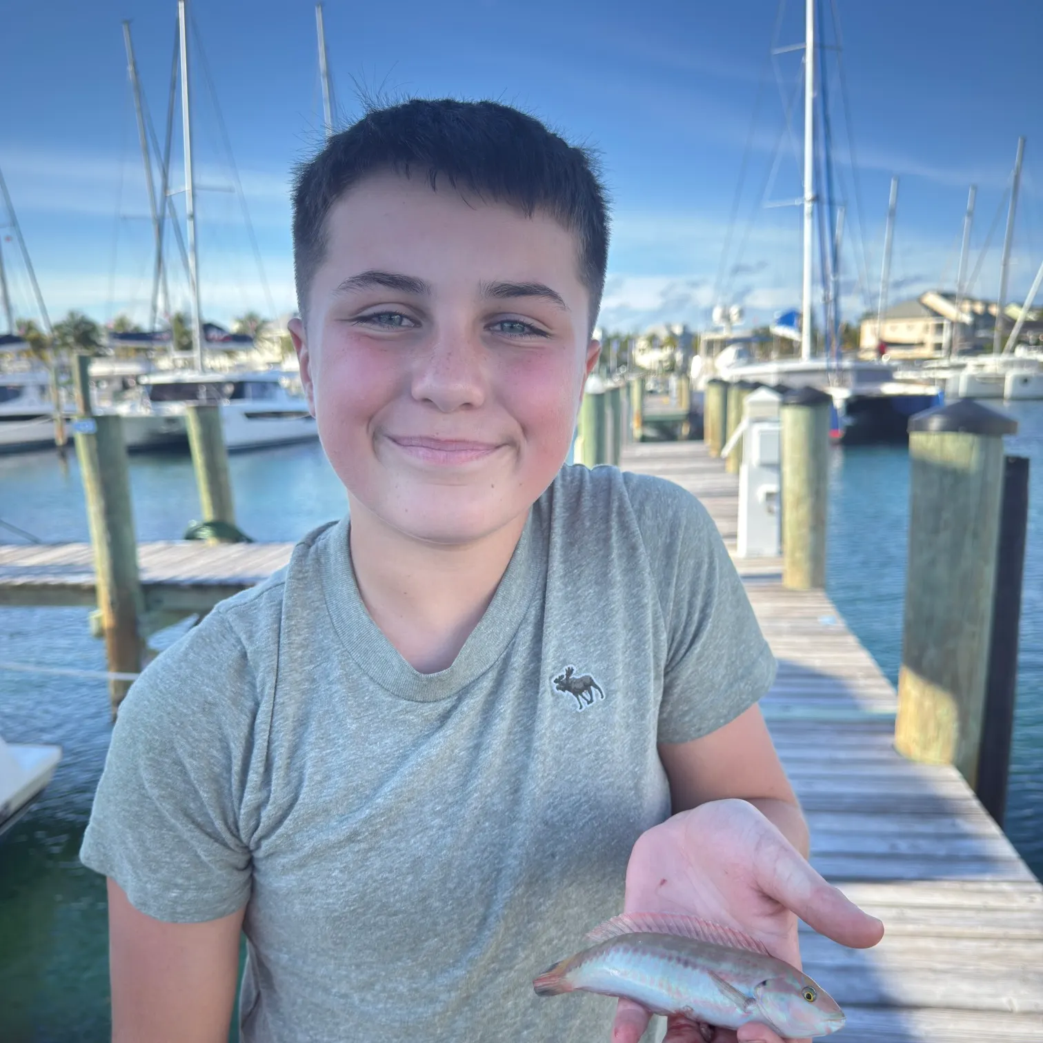 The most recent European flounder catches on Fishbrain