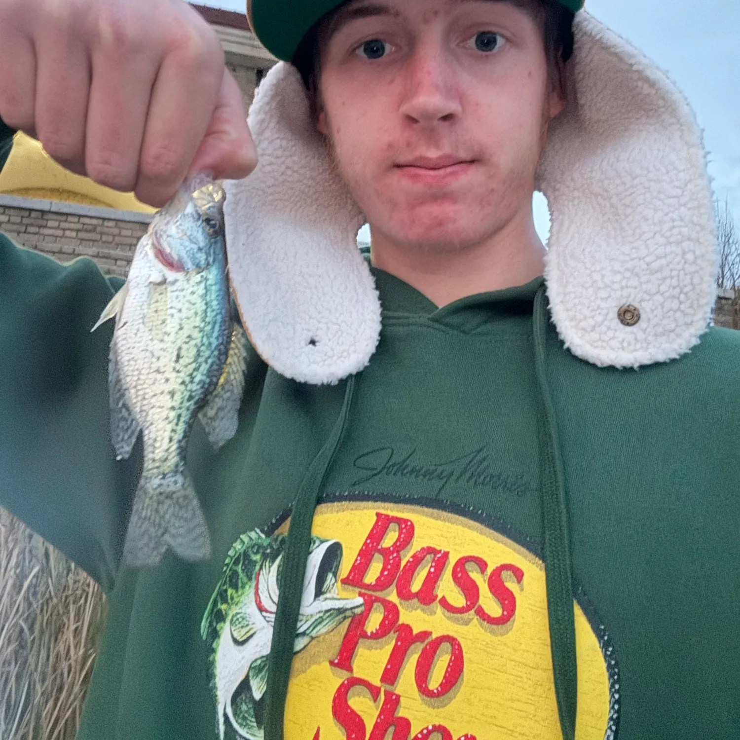 Black crappie caught on Fishbrain
