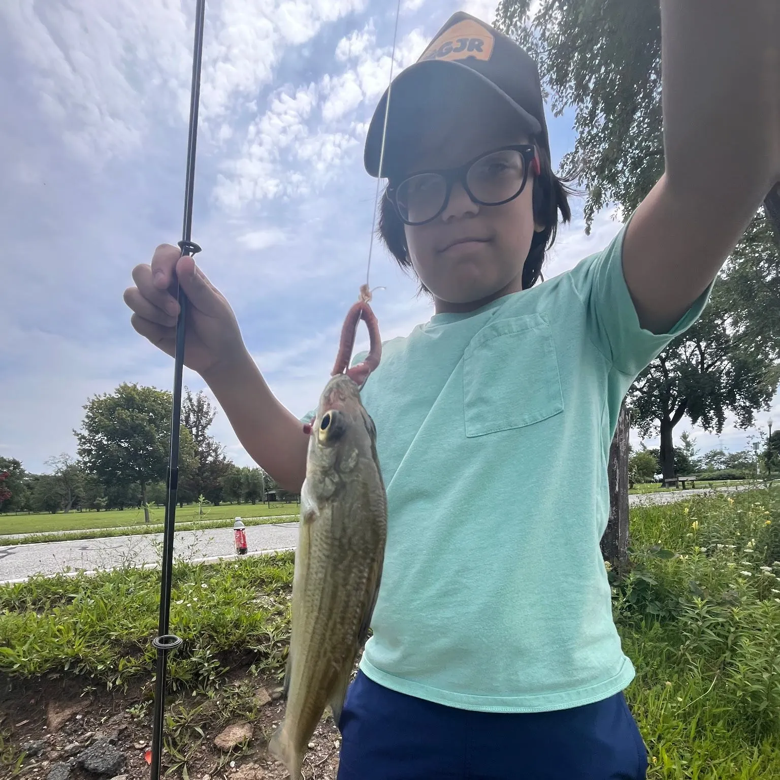 Striped bass caught on Fishbrain