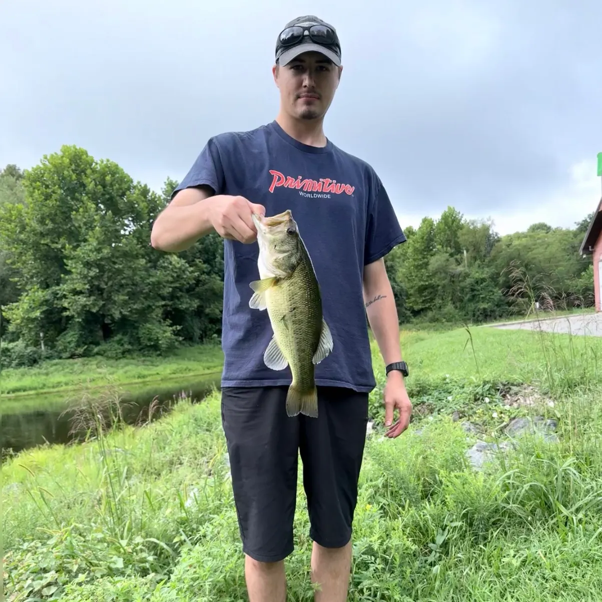 Largemouth bass caught on Fishbrain
