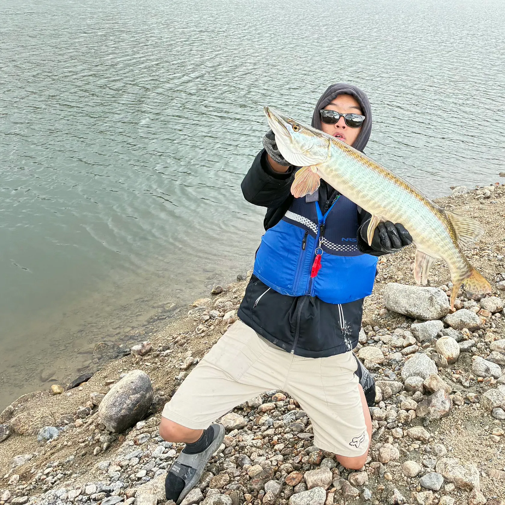 Tiger muskie caught on Fishbrain