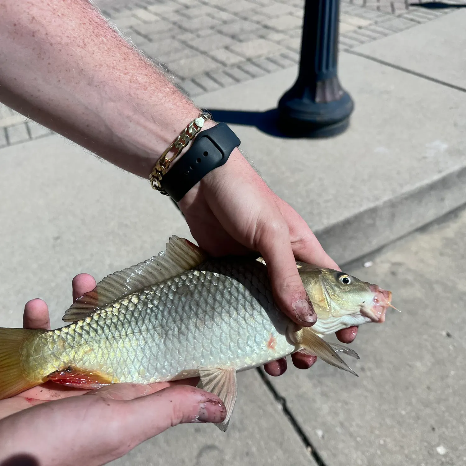 catch