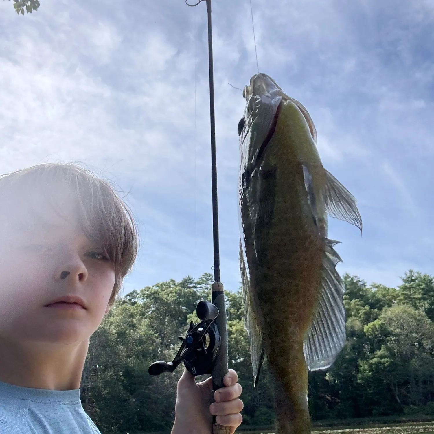 Bluegill caught on Fishbrain