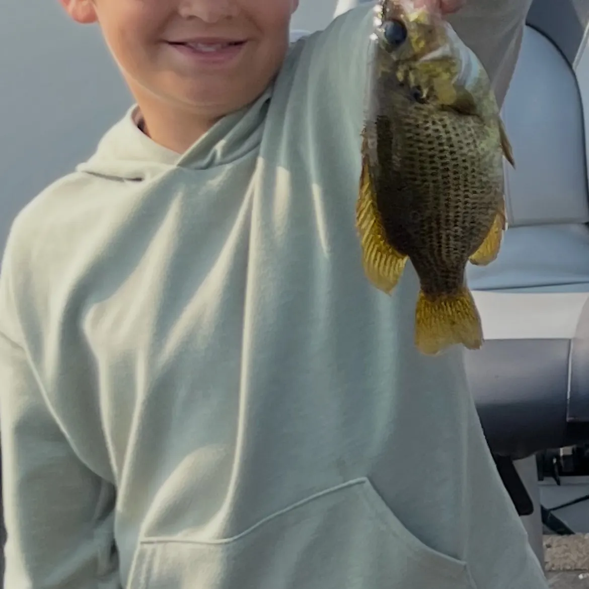 The most recent Shadow bass catches on Fishbrain