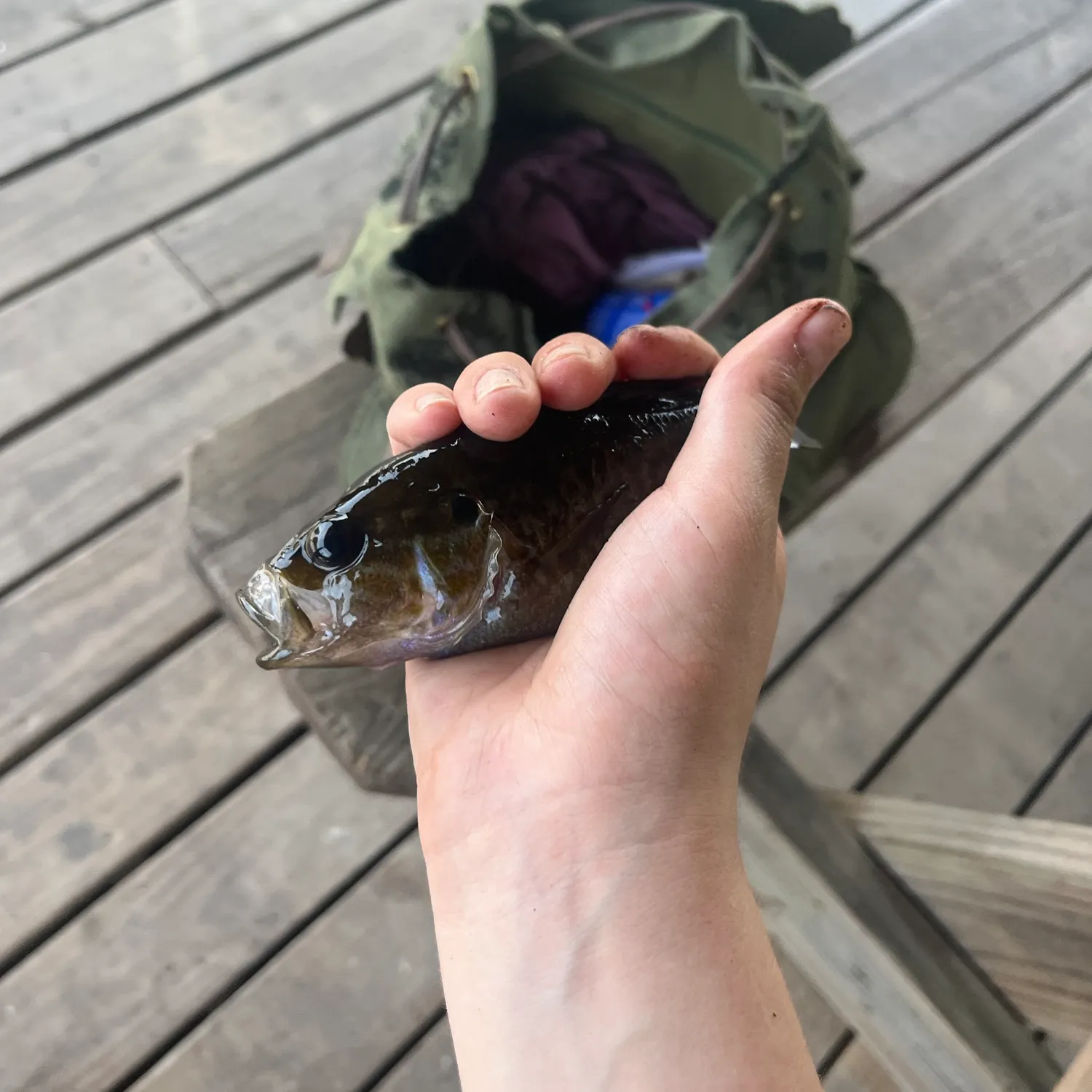 catch