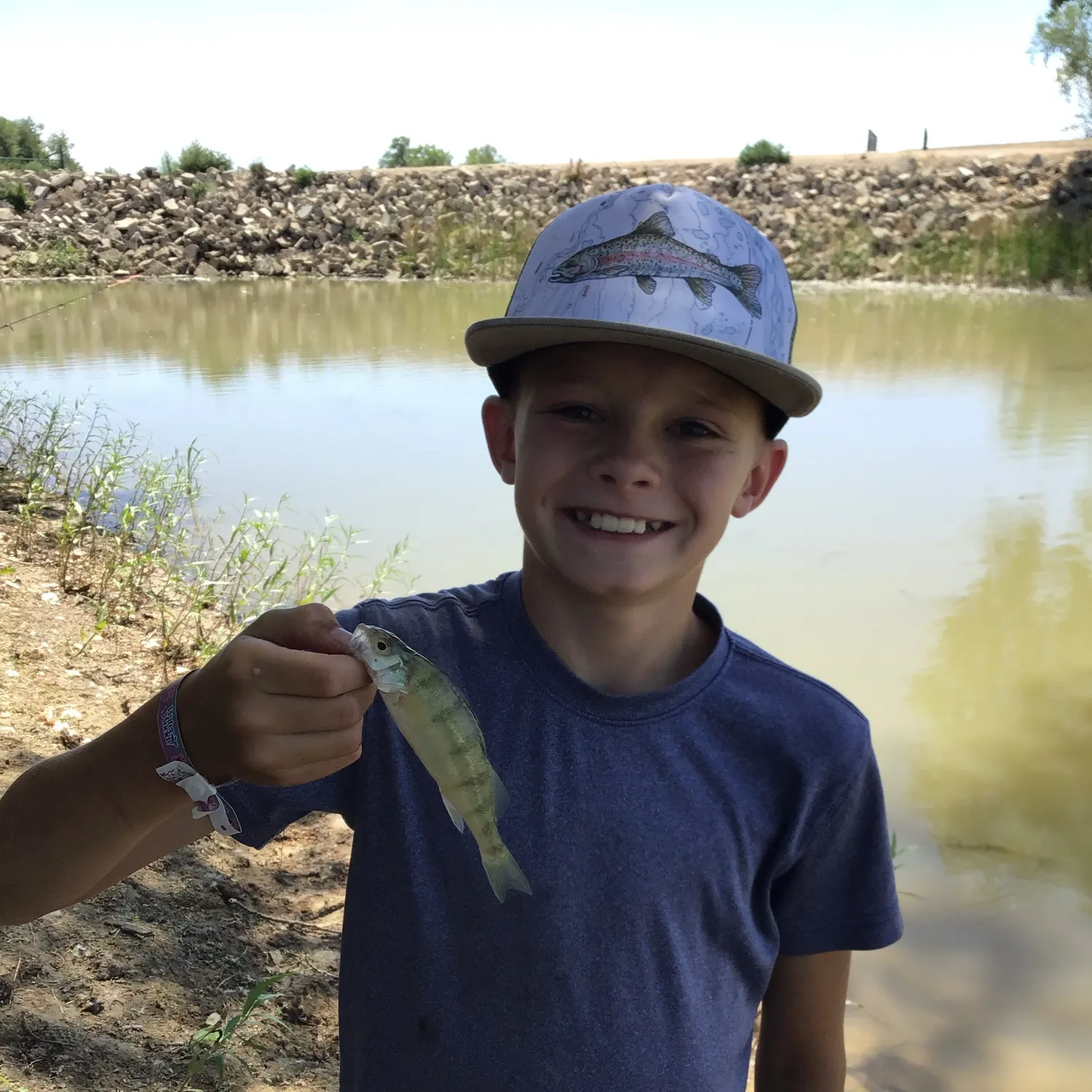 European perch caught on Fishbrain