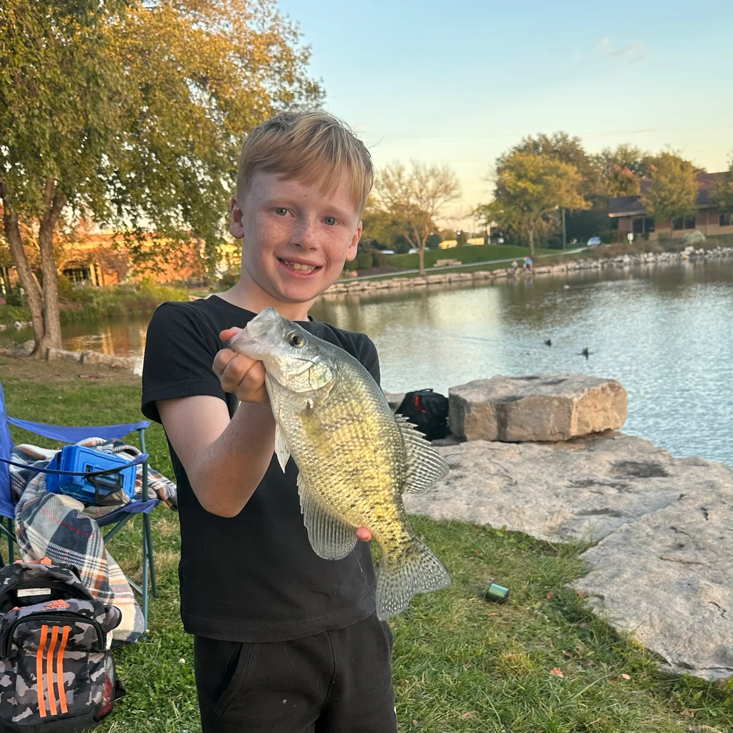 White crappie caught on Fishbrain