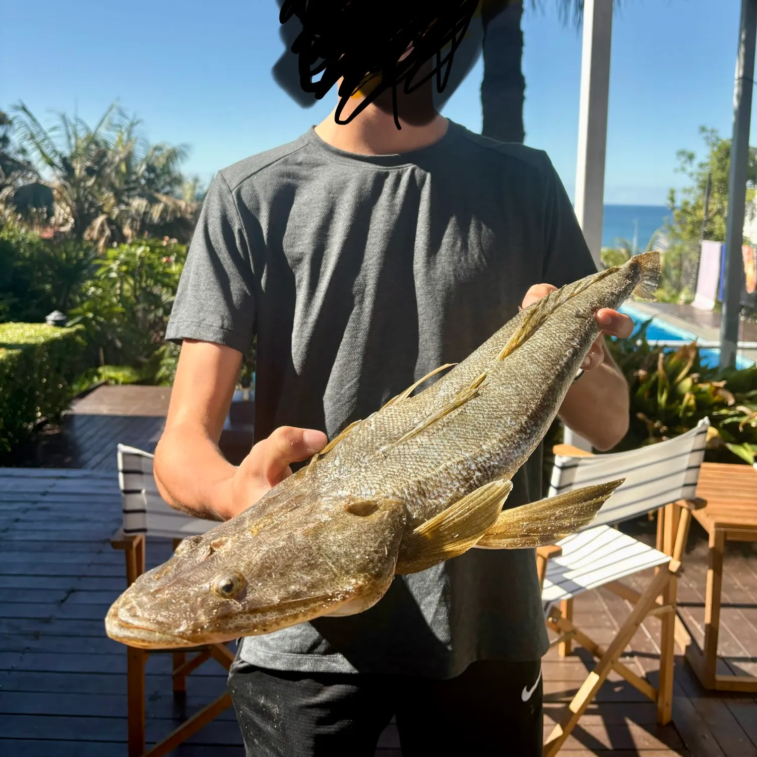 The most recent Blue-spotted flathead catches on Fishbrain