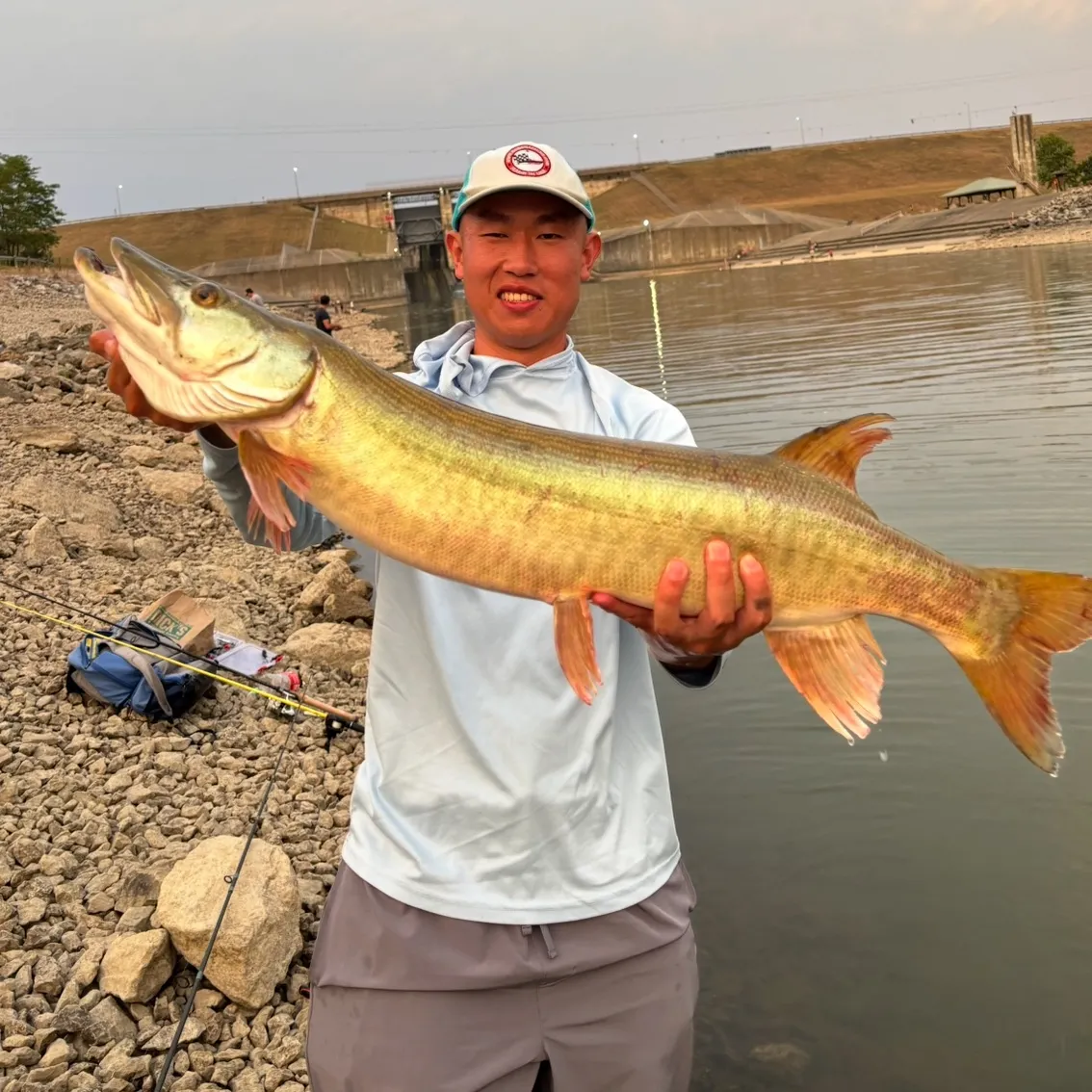 The most recent Muskie catches on Fishbrain