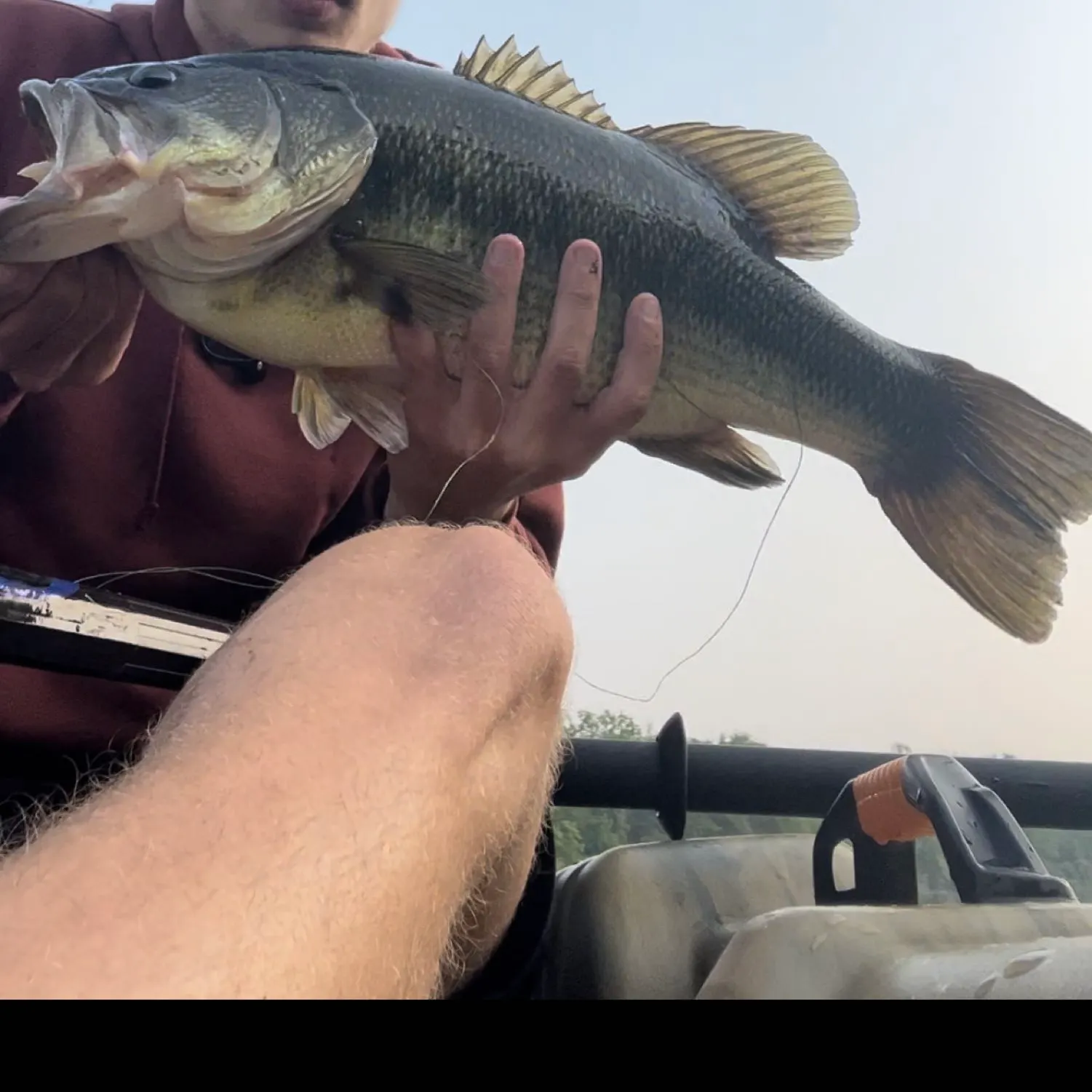 angler catch
