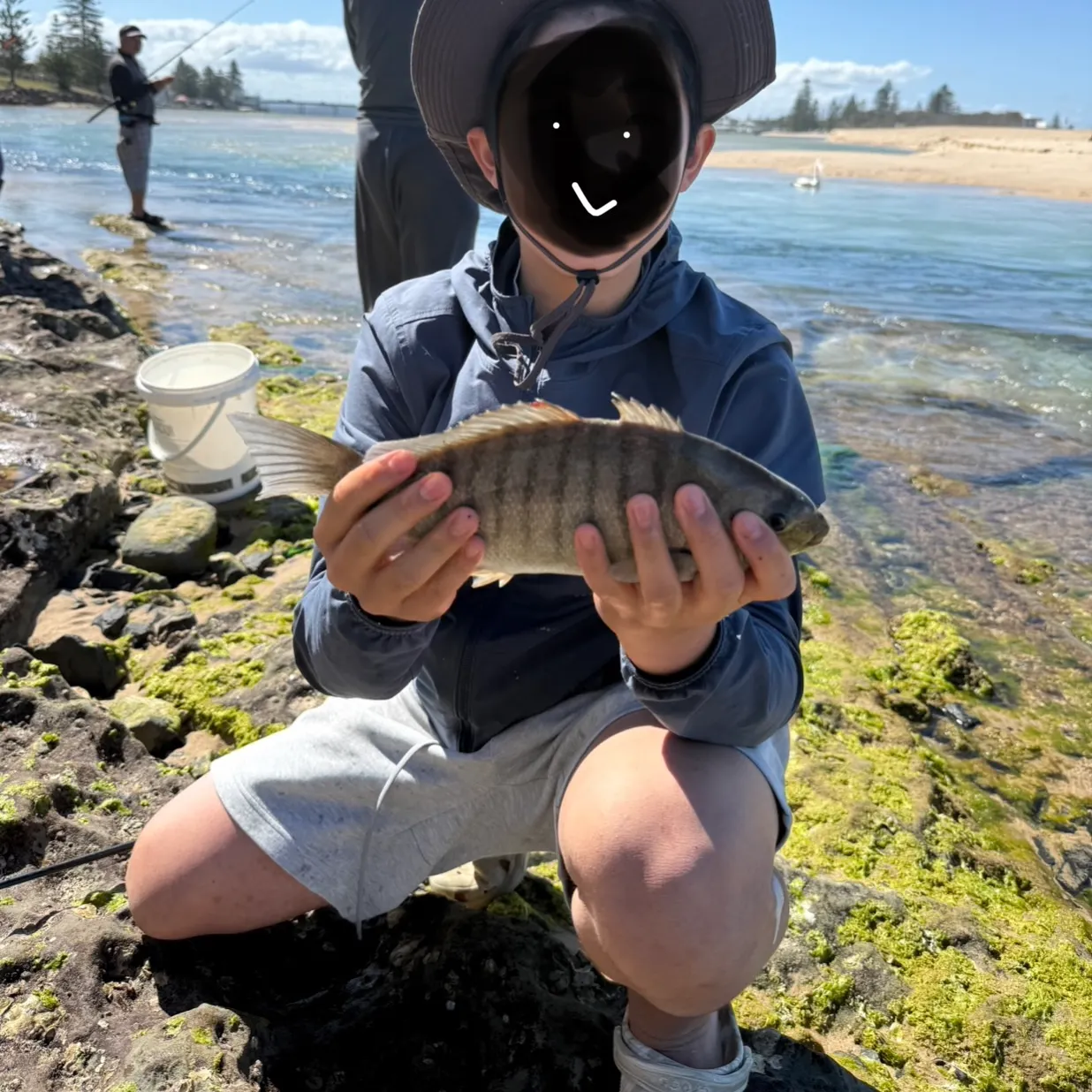Luderick caught on Fishbrain