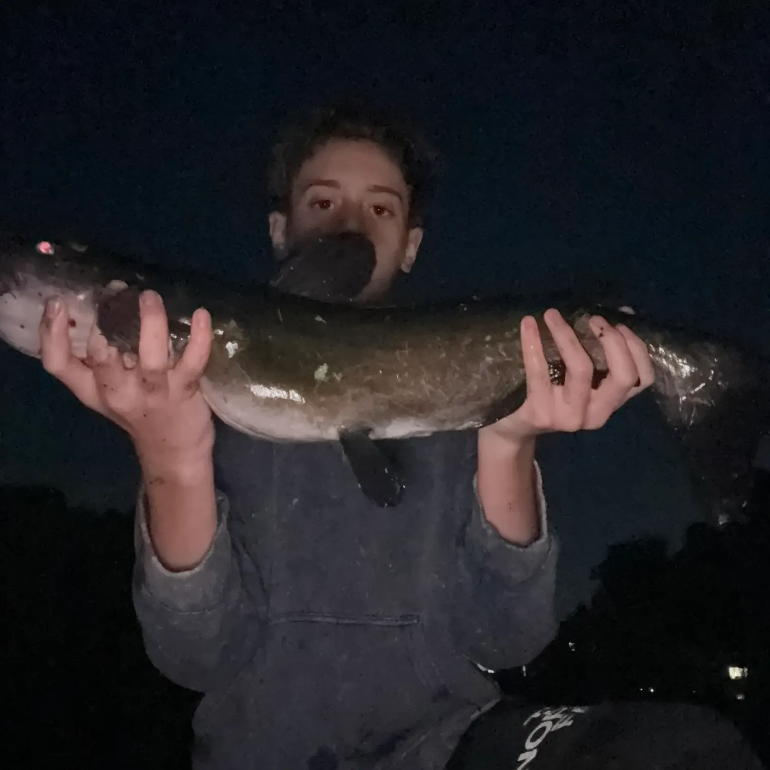 Channel catfish caught on Fishbrain