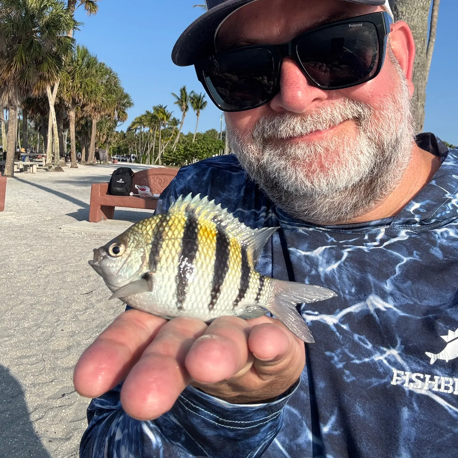 The most popular recent Sergeant-major catch on Fishbrain