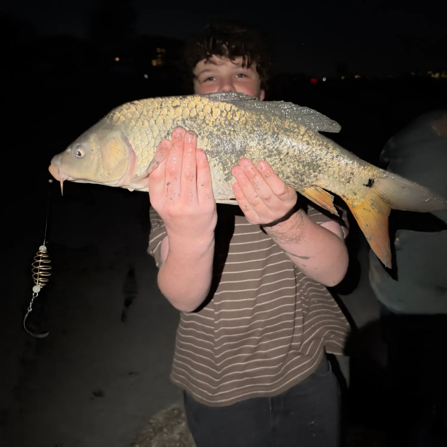 Common carp caught on Fishbrain