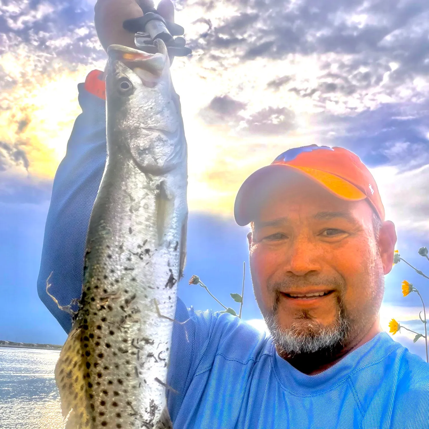 Spotted seatrout caught on Fishbrain