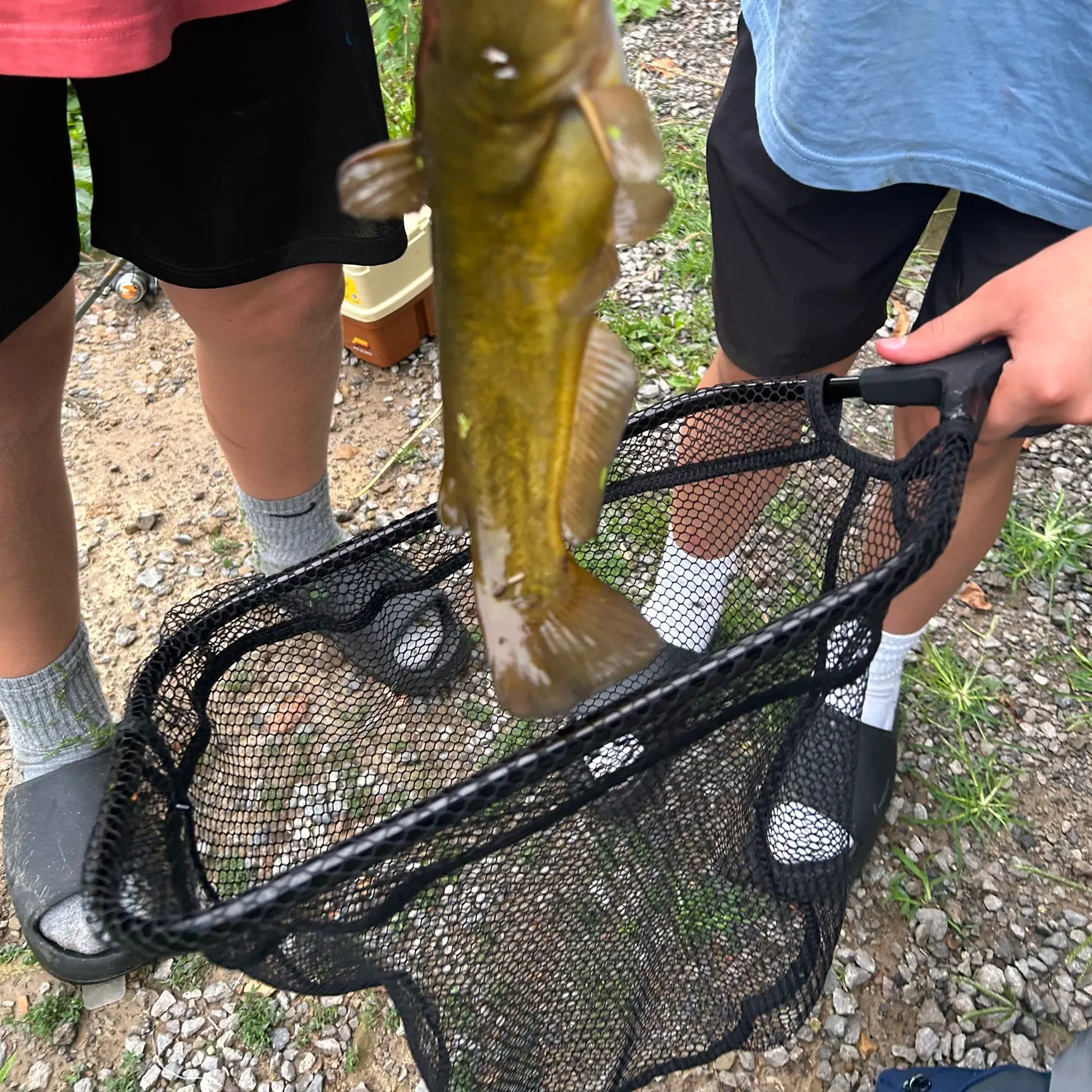 catch