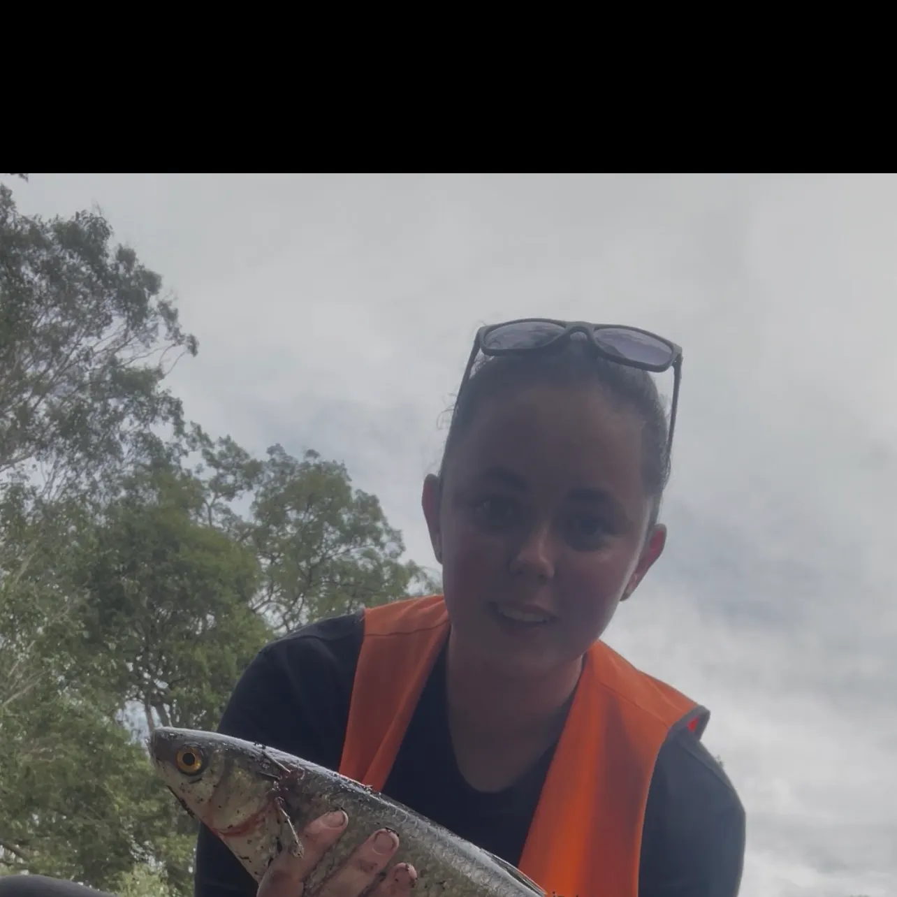 The most recent Yellow-eye mullet catches on Fishbrain