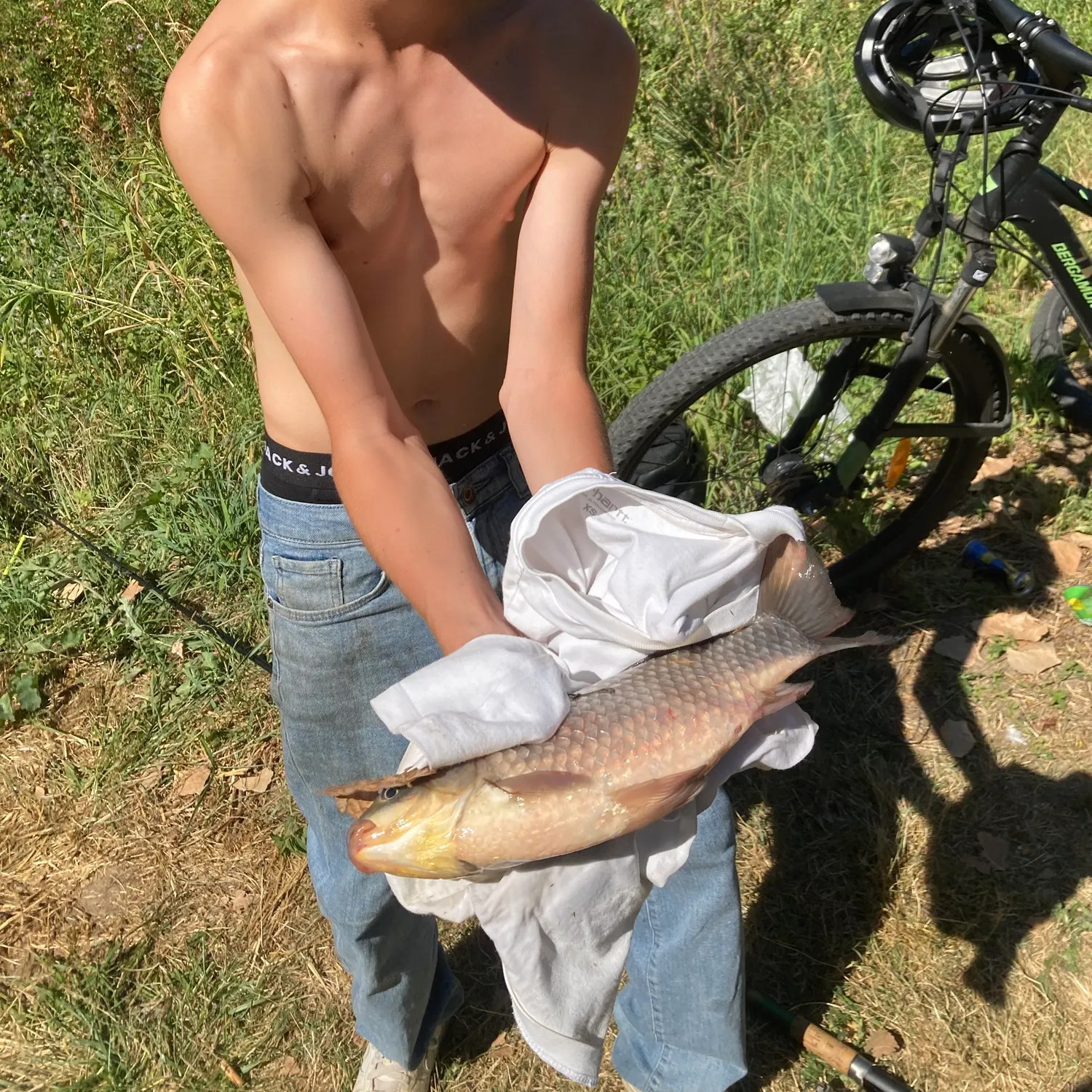 Common carp caught on Fishbrain