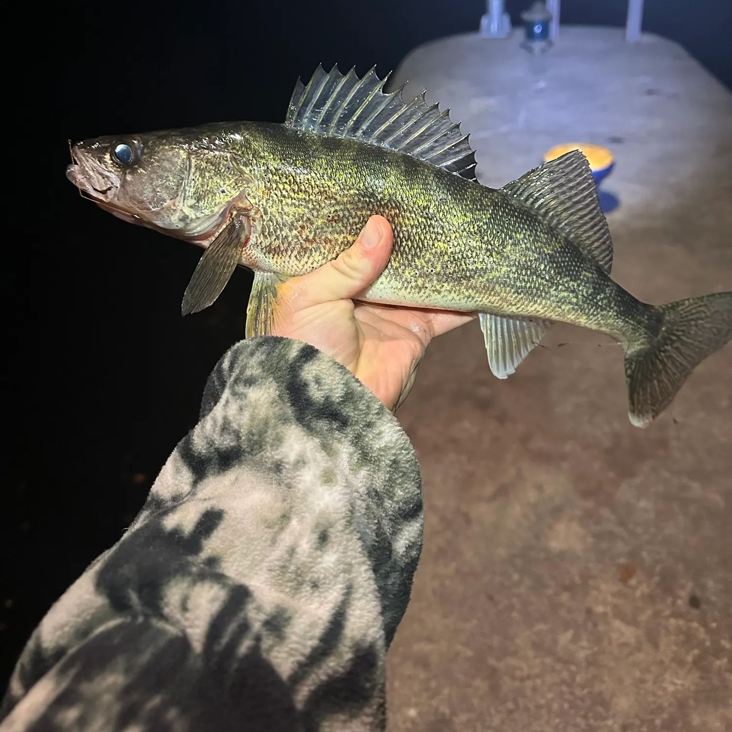 Walleye caught on Fishbrain