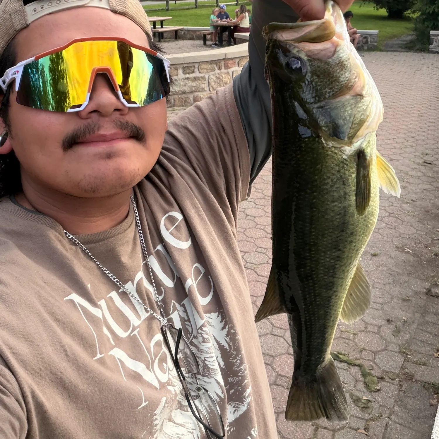 Largemouth bass caught on Fishbrain
