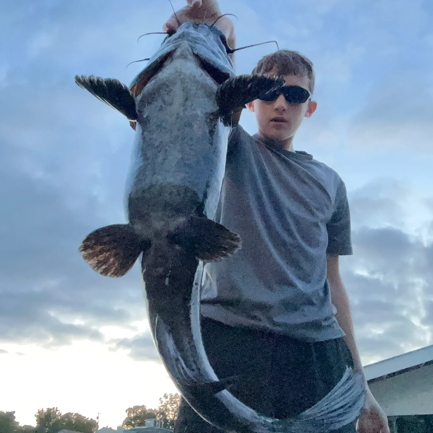 Flathead catfish caught on Fishbrain