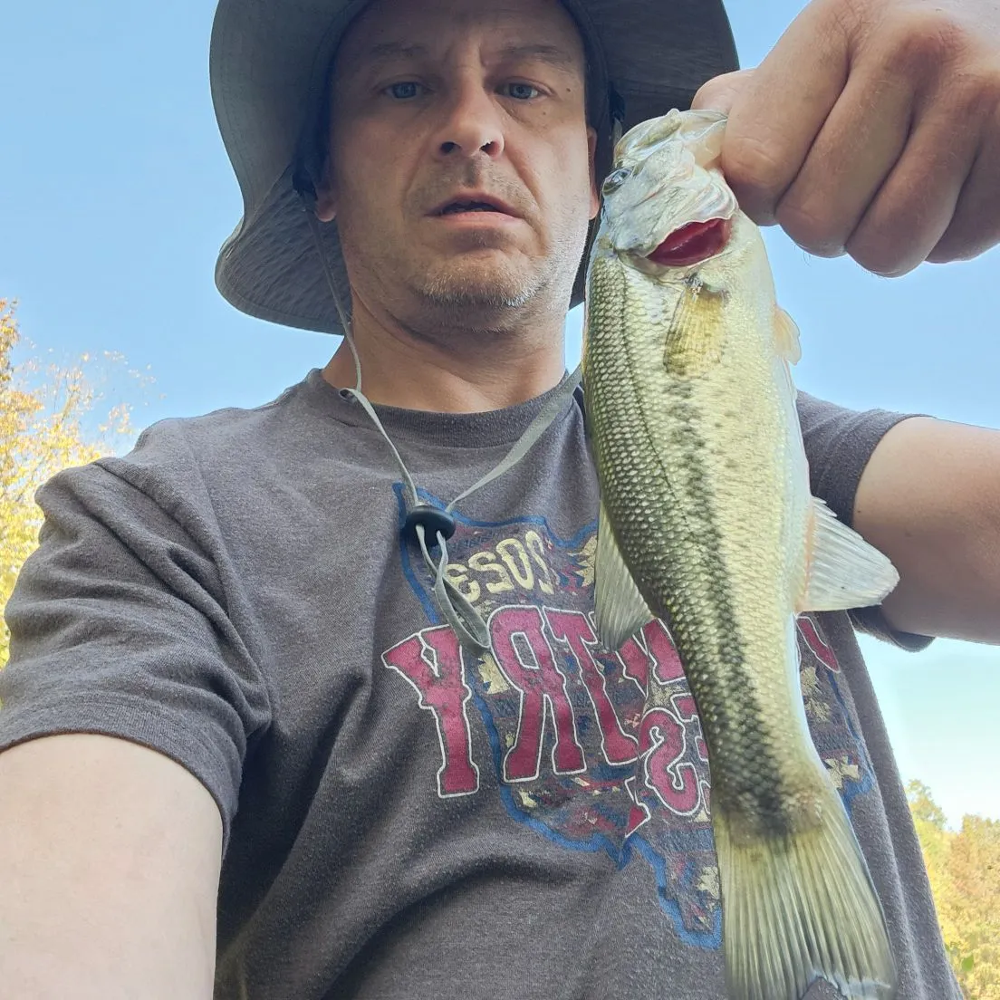 Largemouth bass caught on Fishbrain