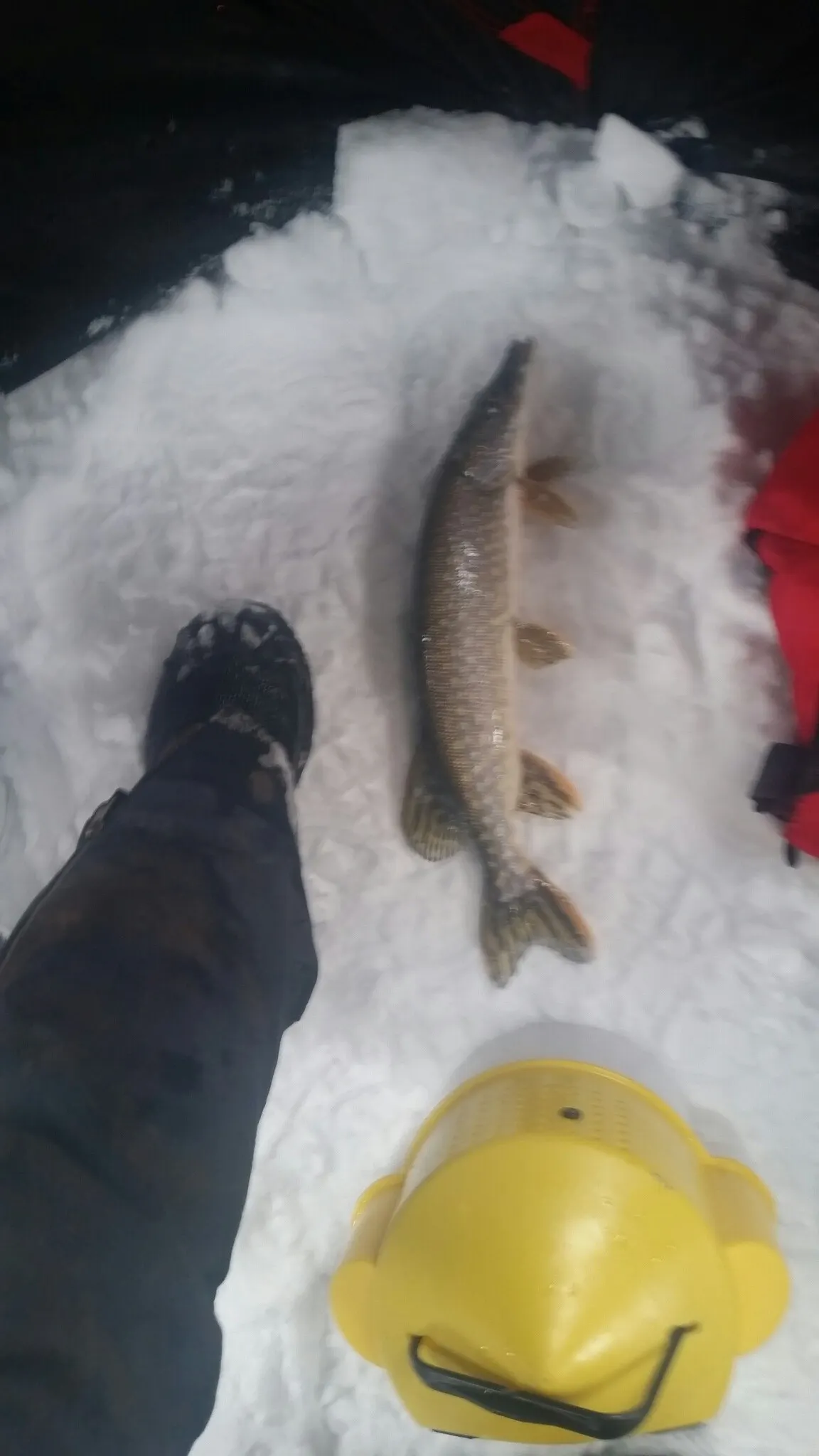 Post image from bkettle8786