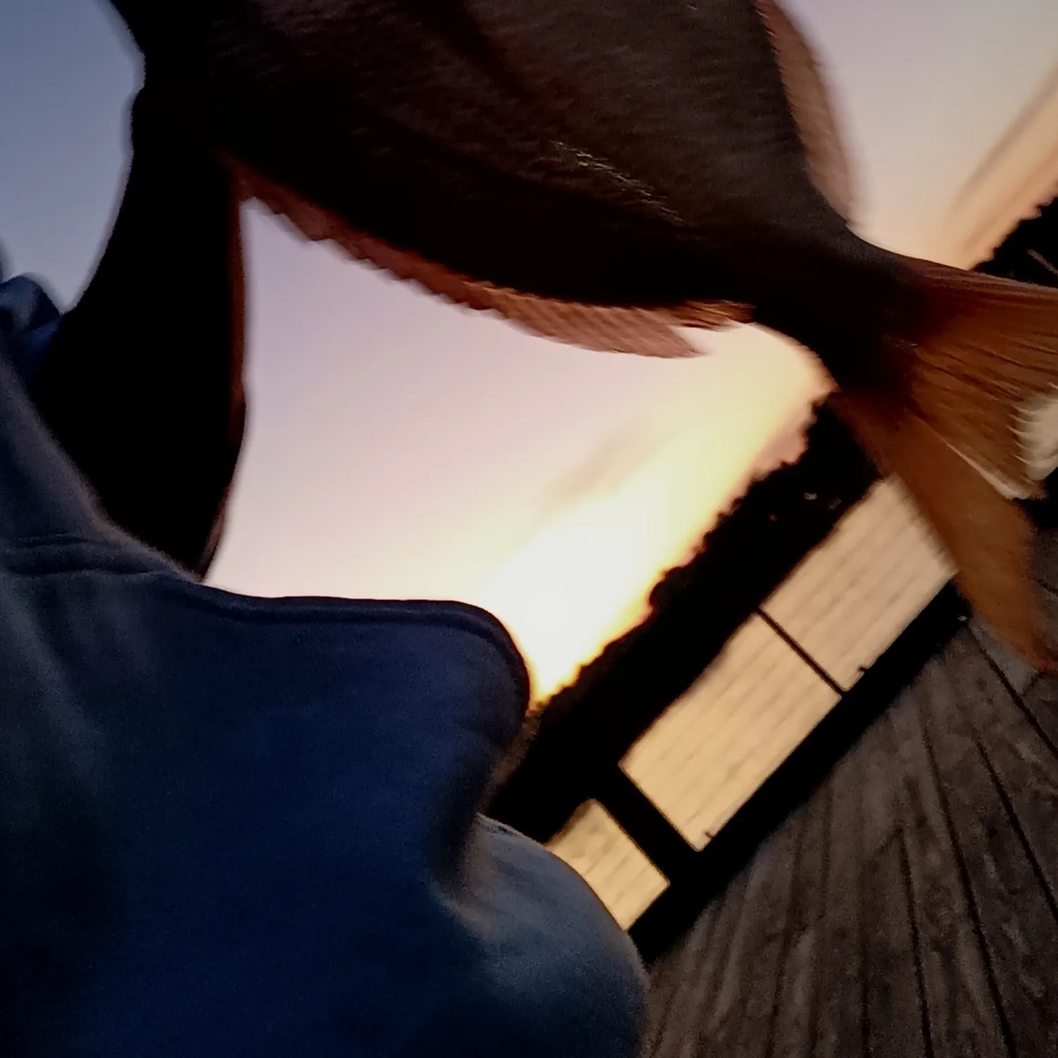 The most recent Silver porgy catches on Fishbrain