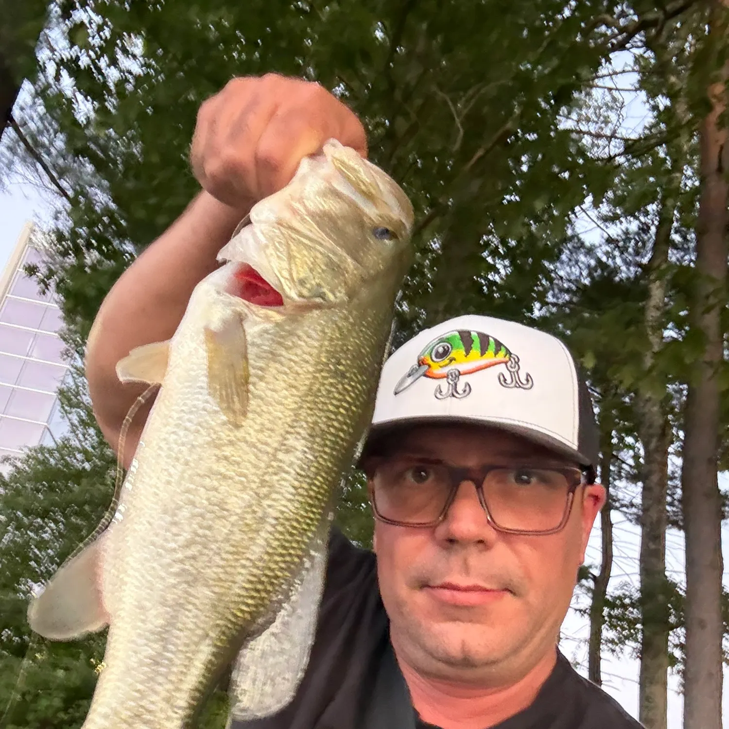 Largemouth bass caught on Fishbrain
