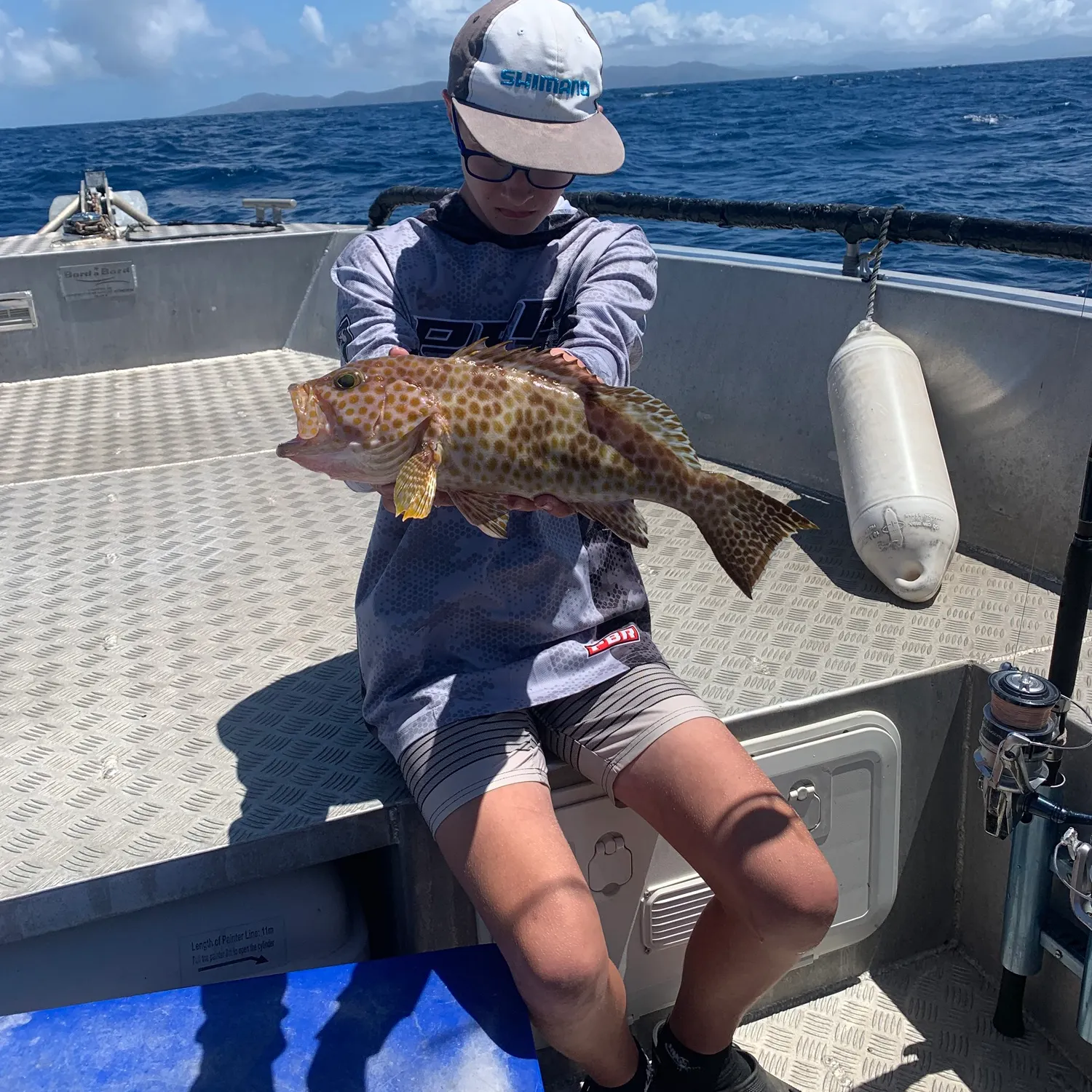 Orange-spotted grouper caught on Fishbrain