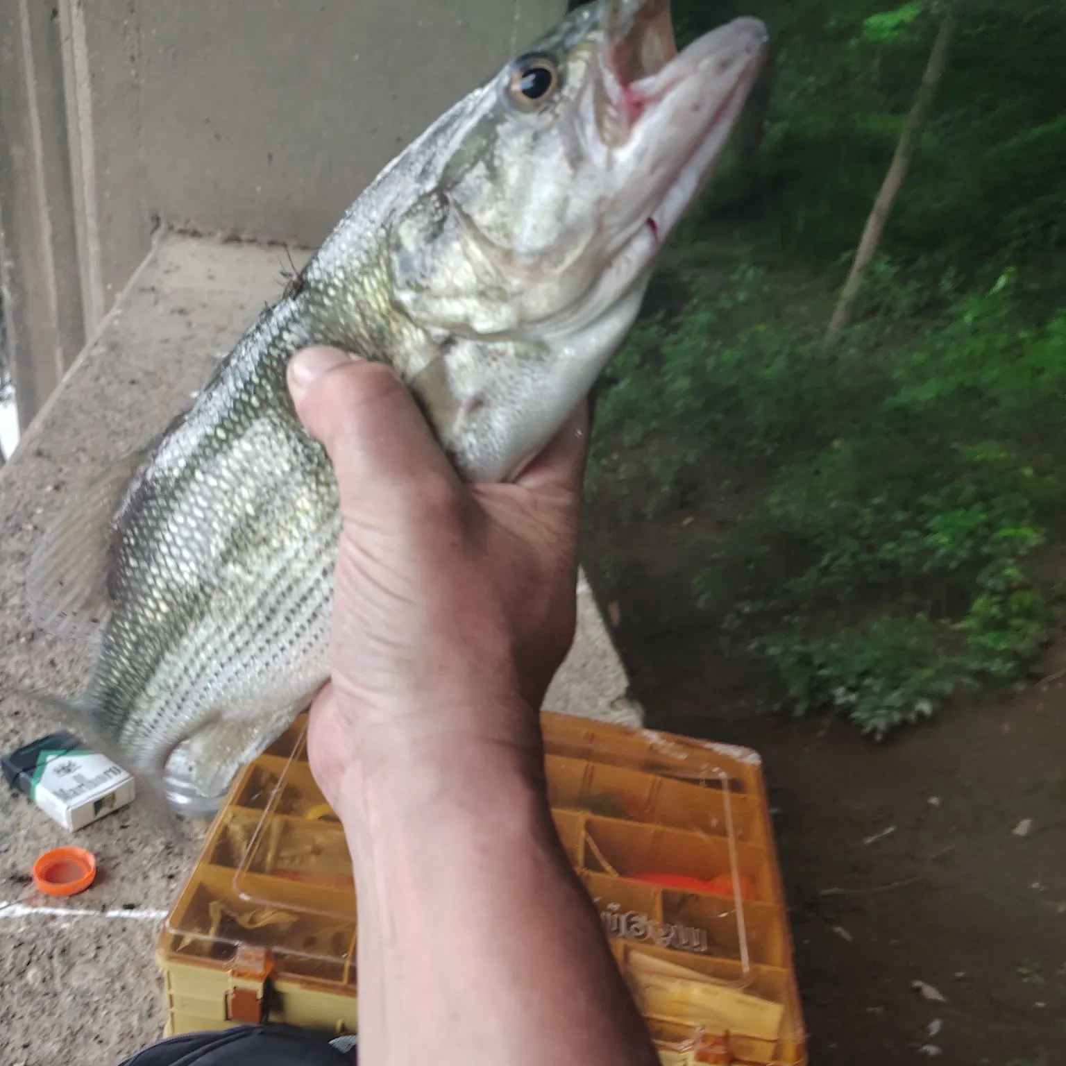 catch